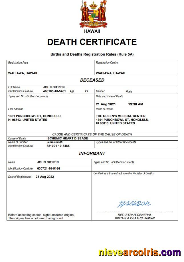 Editable Hawaii Death Certificate Word And PDF Template