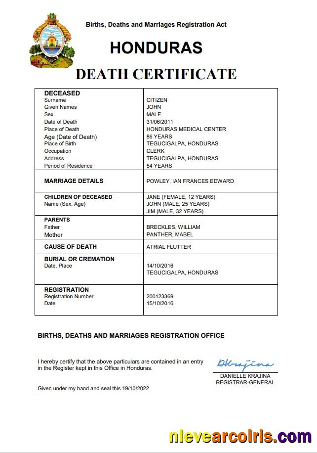 Professional Honduras Vital Record Death Certificate Word And PDF Template