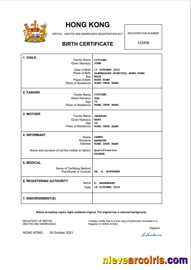 Professional Hong Kong Birth Certificate Word And PDF Template