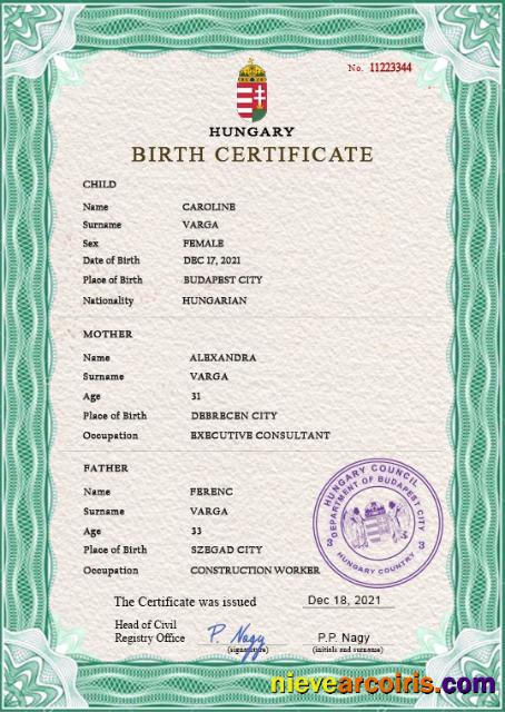 Professional Hungary Birth Certificate PSD Template