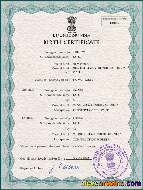 Premium India Vital Record Birth Certificate PSD Template