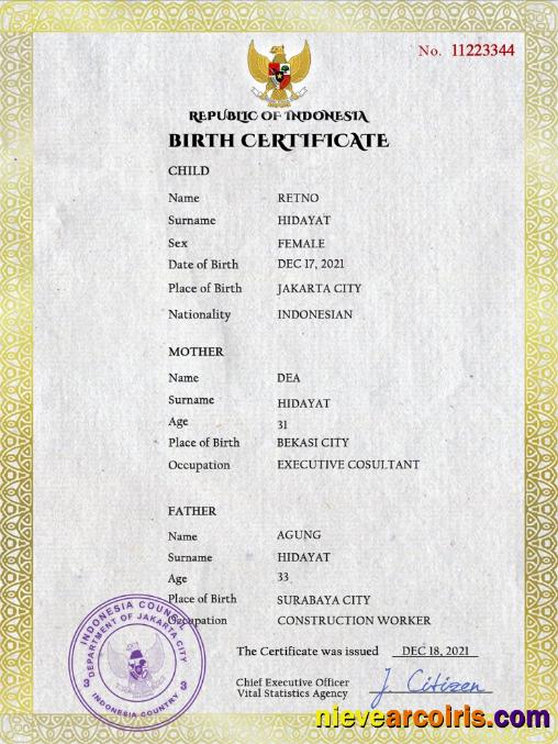 Realistic Indonesia Vital Record Birth Certificate PSD Template