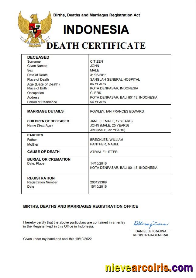 Professional Indonesia Vital Record Death Certificate Word And PDF Template