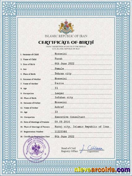 Realistic Iran Birth Certificate PSD Template