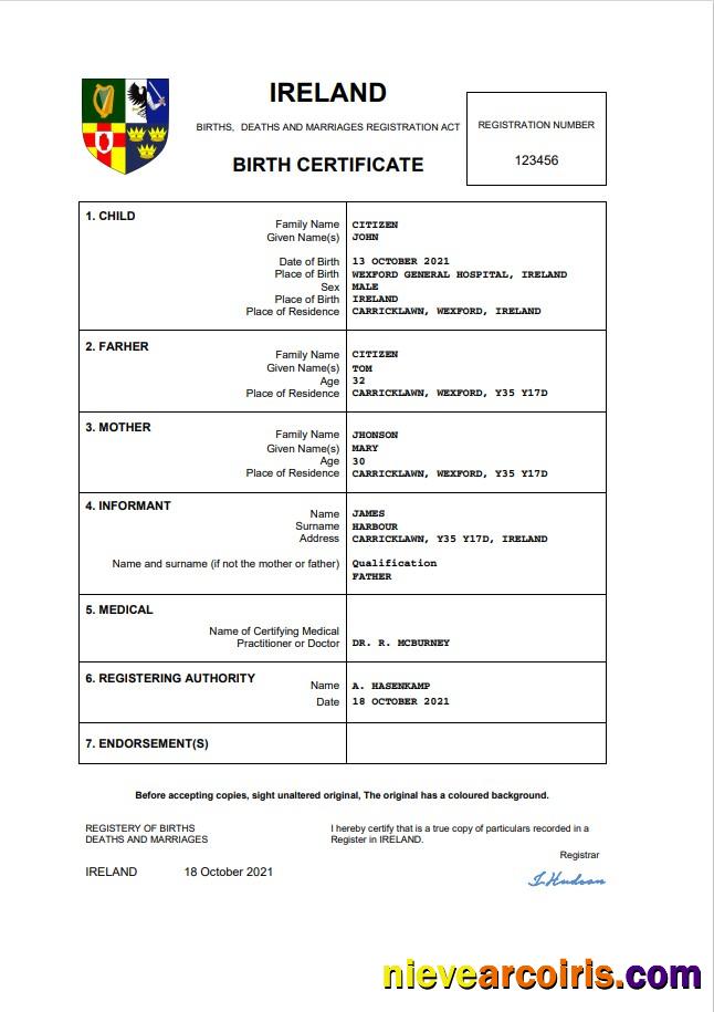 Editable Ireland Birth Certificate Word And PDF Template