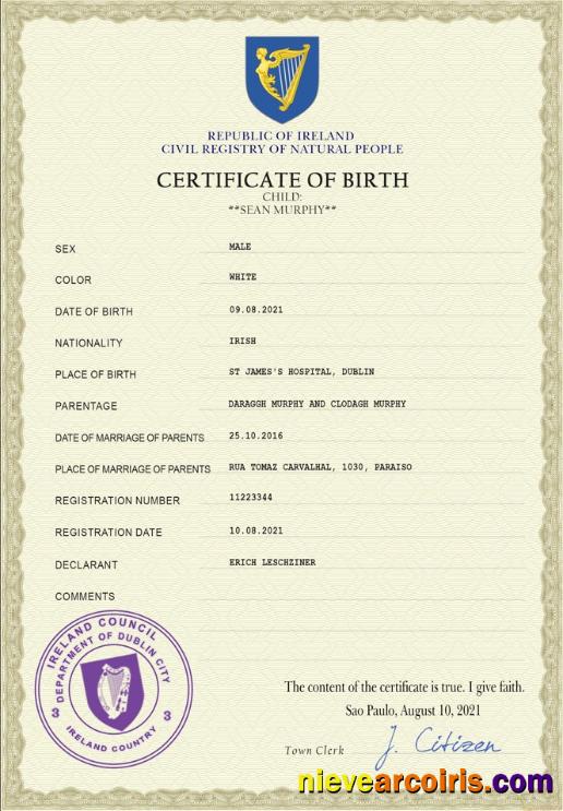 Professional Ireland Vital Record Birth Certificate PSD Template