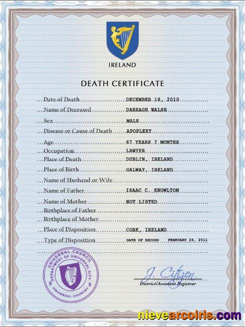 Premium Ireland Vital Record Death Certificate PSD Template
