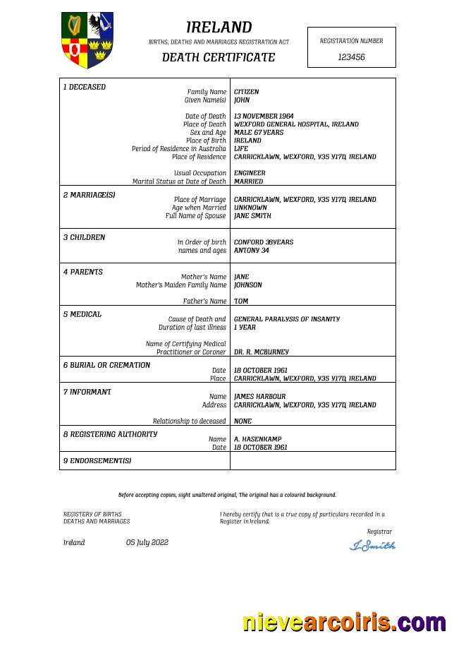Editable Ireland Vital Record Death Certificate Word And PDF Template
