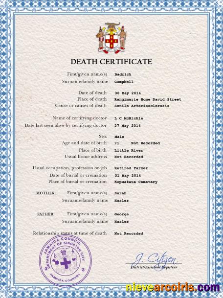 Professional Jamaica Death Certificate PSD Template