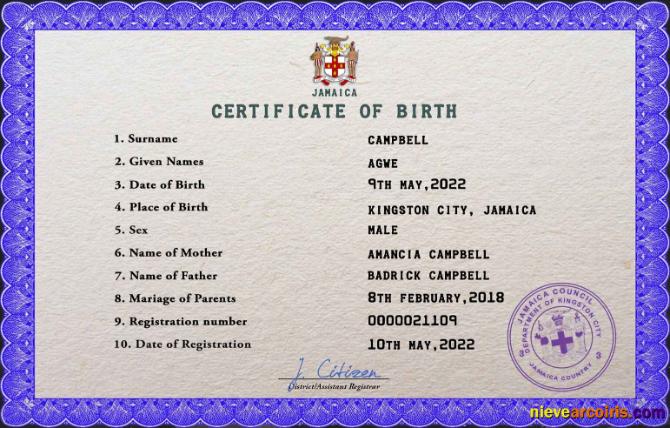 Realistic Jamaica Vital Record Birth Certificate PSD Template