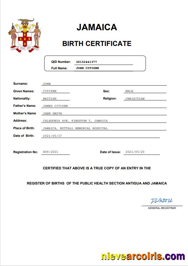 Editable Jamaica Vital Record Birth Certificate Word And PDF Template