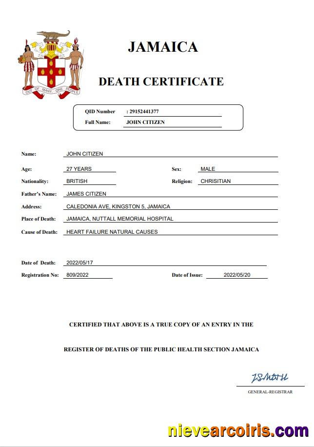 Professional Jamaica Vital Record Death Certificate Word And PDF Template