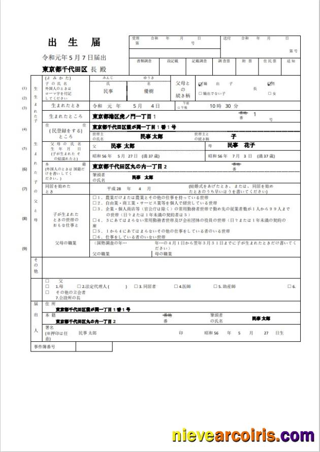 Professional Japan Birth Certificate (日本の出生証明書) Word And PDF Template, Fully Editable