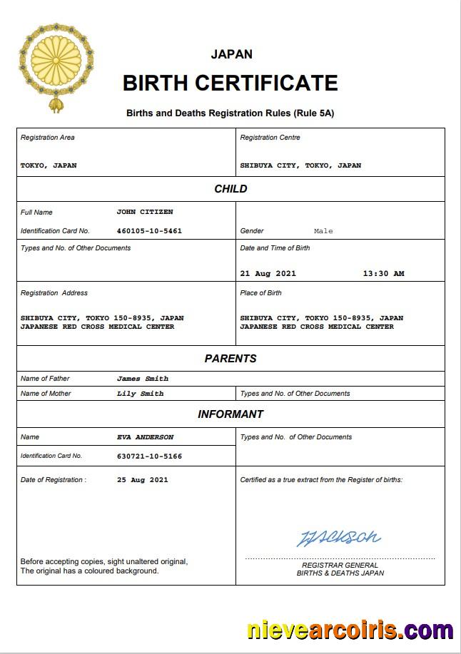 Professional Japan Birth Certificate Word And PDF Template, Completely Editable