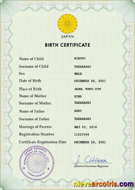 Japan Birth Certificate Preview