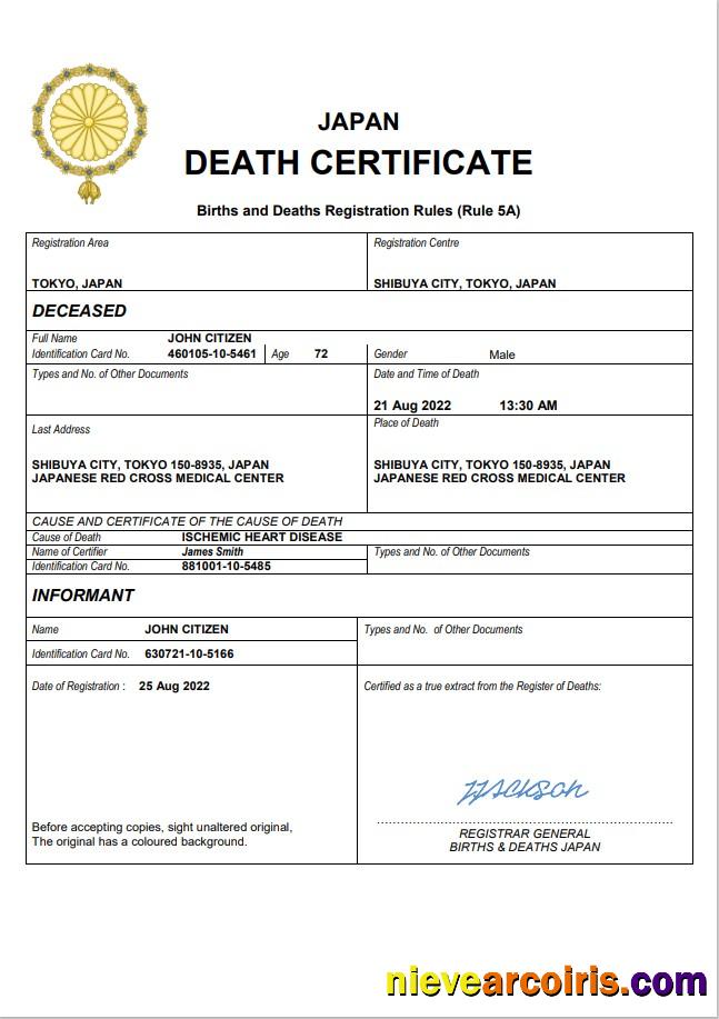 Editable Japan Death Certificate Word And PDF Template