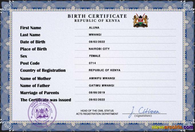 Premium Kenya Vital Record Birth Certificate PSD Template