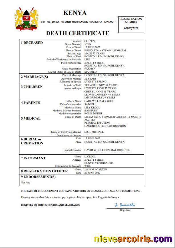 Professional Kenya Vital Record Death Certificate Word And PDF Template