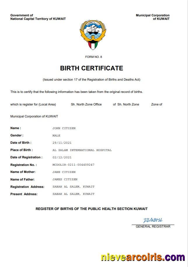 Premium Kuwait Vital Record Birth Certificate Word And PDF Template