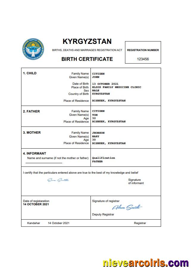 Professional Kyrgyzstan Birth Certificate Word And PDF Template