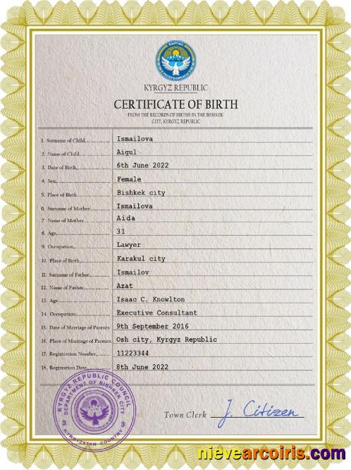 Editable Kyrgyzstan Vital Record Birth Certificate PSD Template
