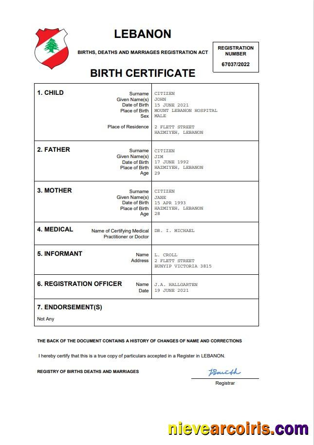 Realistic Lebanon Vital Record Birth Certificate Word And PDF Template