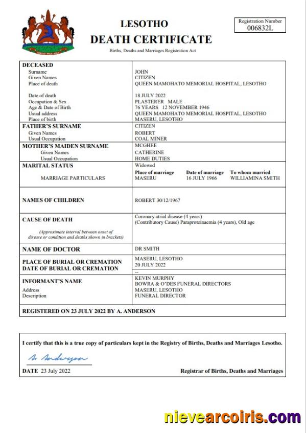 Professional Lesotho Vital Record Death Certificate Word And PDF Template
