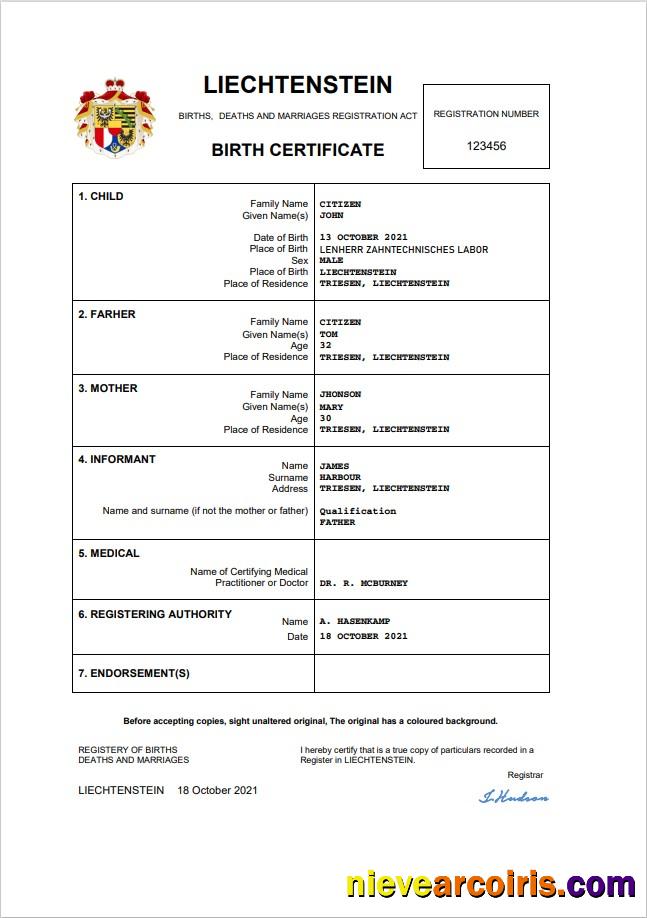 Professional Liechtenstein Vital Record Birth Certificate Word And PDF Template