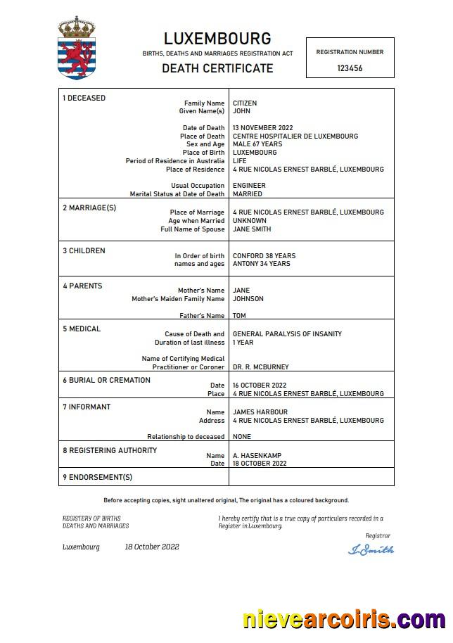 Professional Luxembourg Death Certificate Word And PDF Template