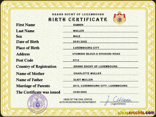 Professional Luxembourg Vital Record Birth Certificate PSD Template