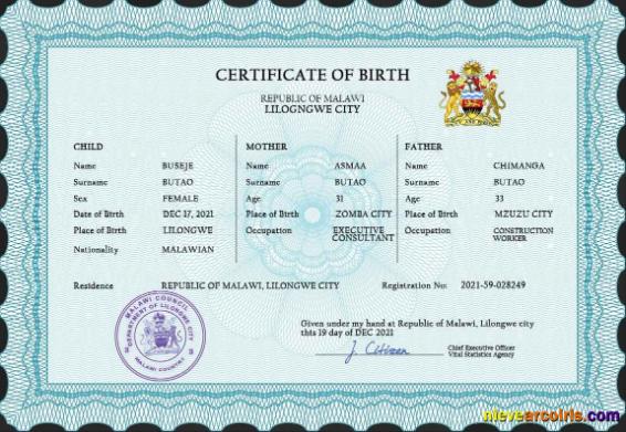 Realistic Malawi Vital Record Birth Certificate PSD Template