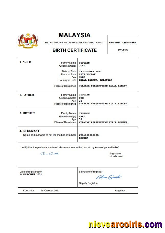 Realistic Malaysia Death Certificate Word And PDF Template, Completely Editable