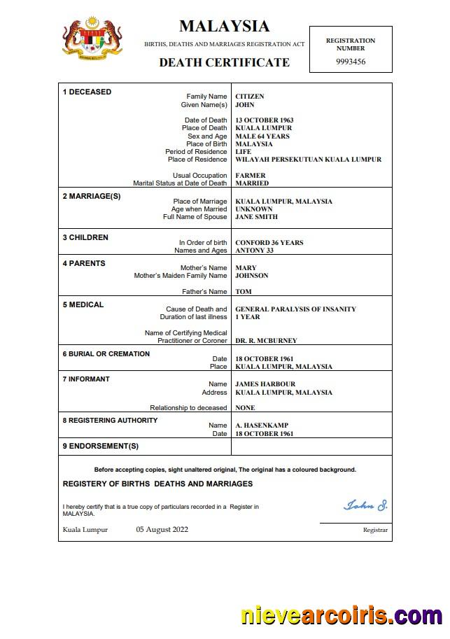 Professional Malaysia Death Certificate Template In Word And PDF Format