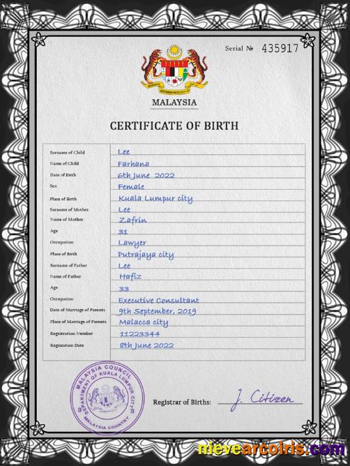 Editable Malaysia Vital Record Birth Certificate PSD Template