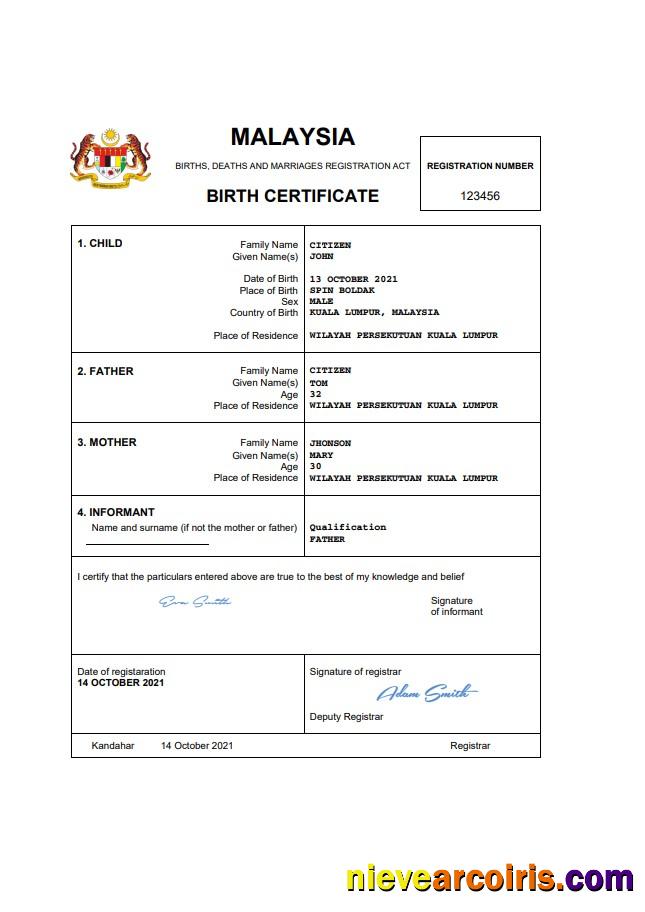 Premium Malaysia Vital Record Birth Certificate Word And PDF Template, Completely Editable
