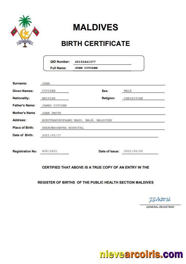 Professional Maldives Birth Certificate Word And PDF Template