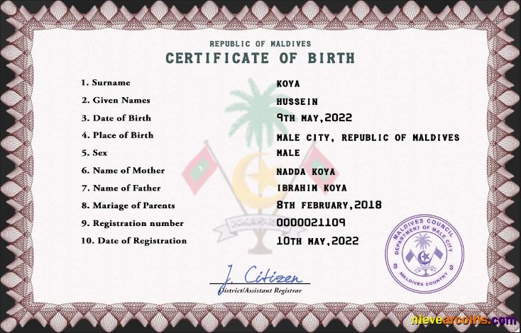 Professional Maldives Vital Record Birth Certificate PSD Template