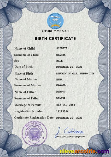 Realistic Mali Birth Certificate PSD Template