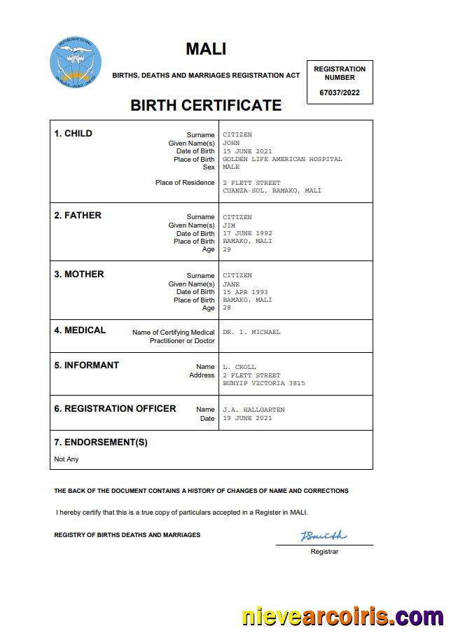 Realistic Mali Vital Record Birth Certificate Word And PDF Template