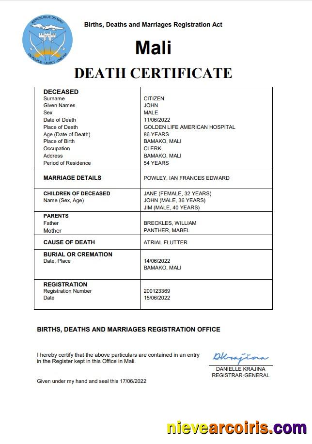 Premium Mali Vital Record Death Certificate Word And PDF Template