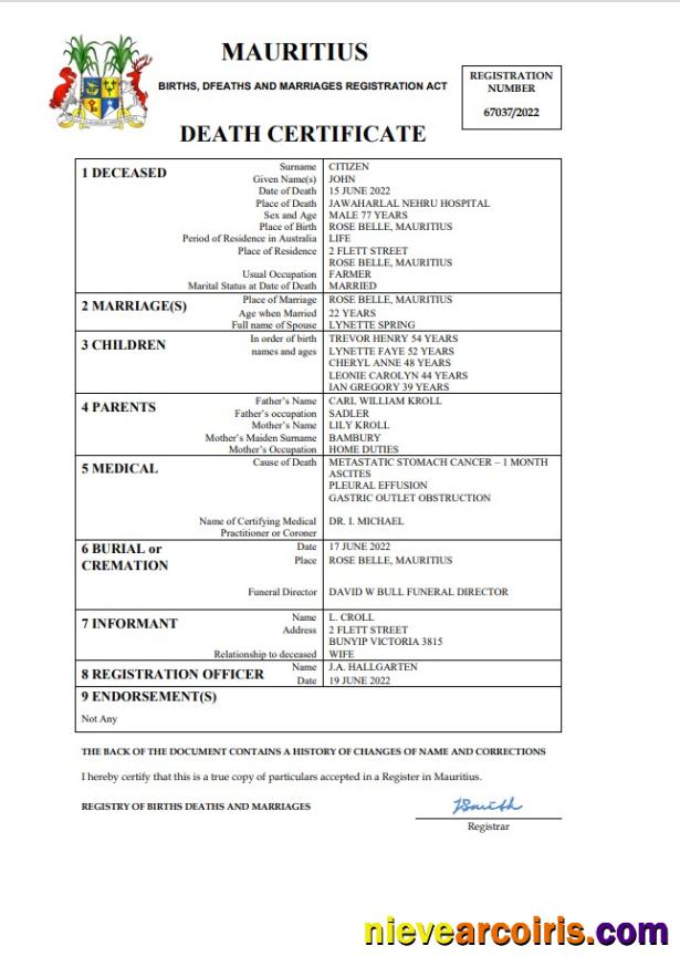 Editable Mauritius Death Certificate Word And PDF Template, Completely Editable