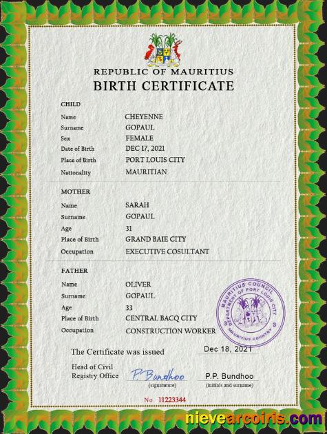 Professional Mauritius Vital Record Birth Certificate PSD Template