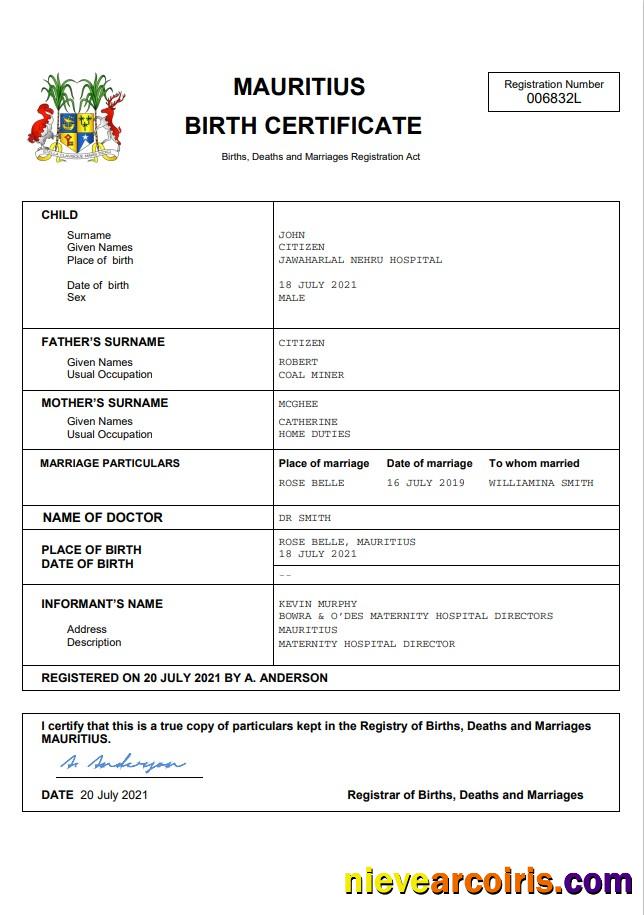 Editable Mauritius Vital Record Birth Certificate Word And PDF Template