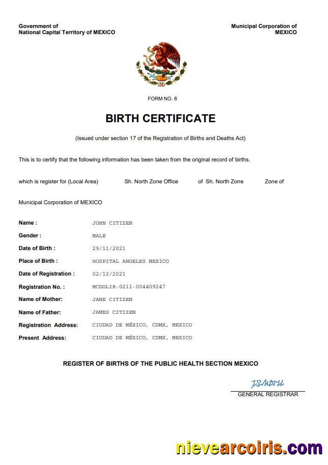Realistic Mexico Birth Certificate Word And PDF Template