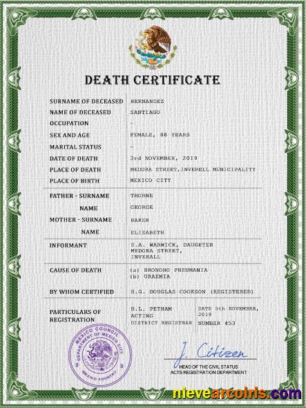 Professional Mexico Death Certificate PSD Template