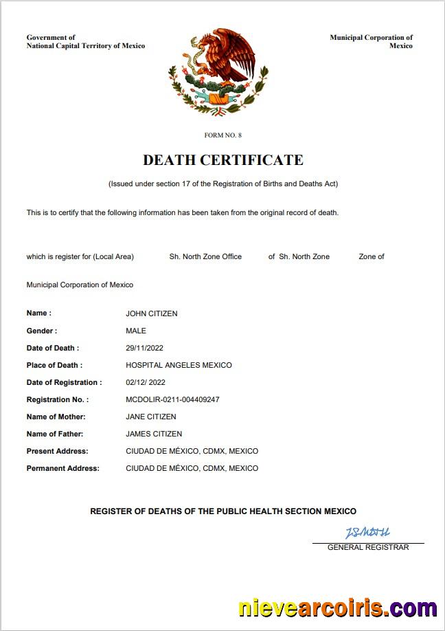 Editable Mexico Vital Record Death Certificate Word And PDF Template