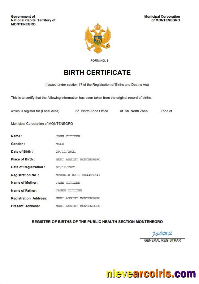Realistic Montenegro Birth Certificate Word And PDF Template