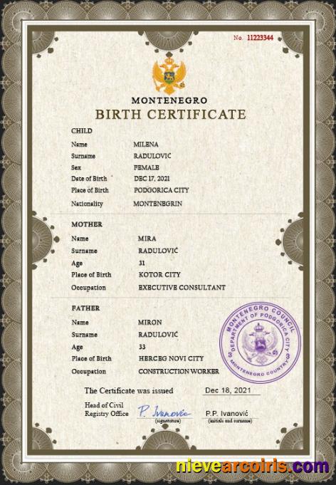 Editable Montenegro Vital Record Birth Certificate PSD Template