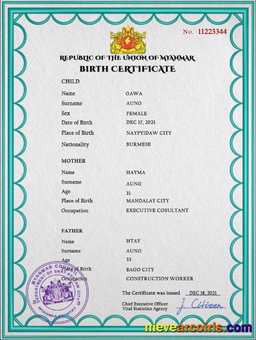 Realistic Myanmar Vital Record Birth Certificate PSD Template