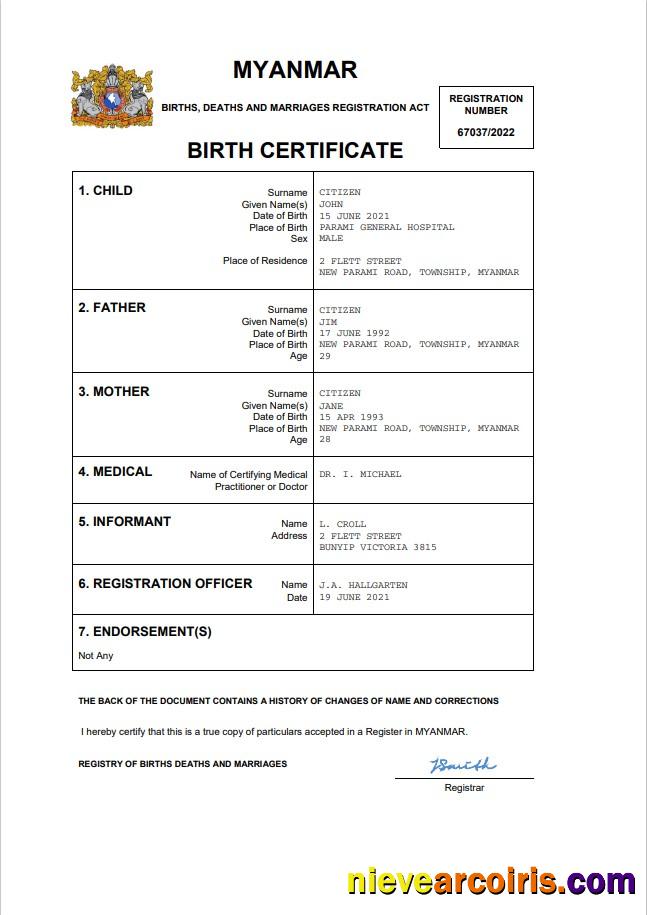 Realistic Myanmar Vital Record Birth Certificate Word And PDF Template